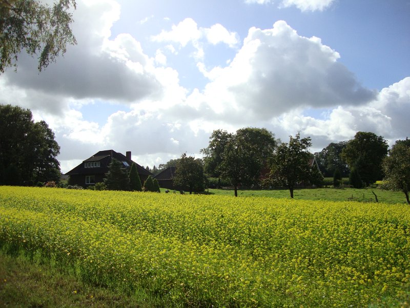 Bramscher Herbstausflug 671
